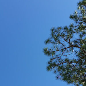 Meet your Posher, Colby